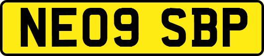 NE09SBP