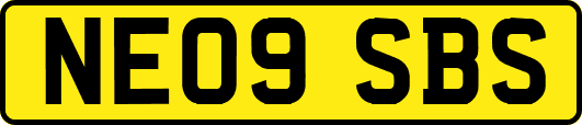 NE09SBS