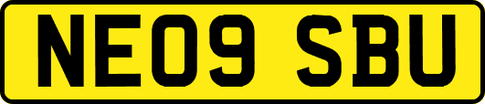 NE09SBU