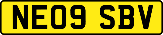 NE09SBV