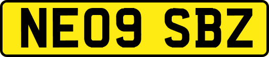 NE09SBZ