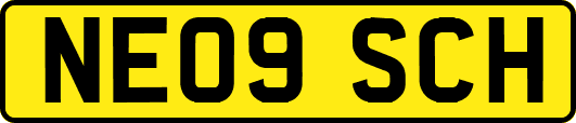 NE09SCH