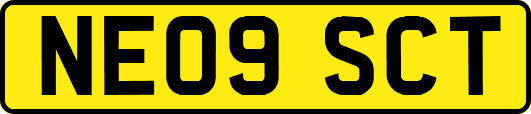 NE09SCT