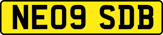 NE09SDB
