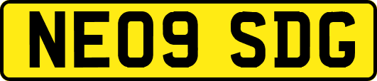 NE09SDG