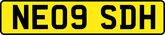 NE09SDH