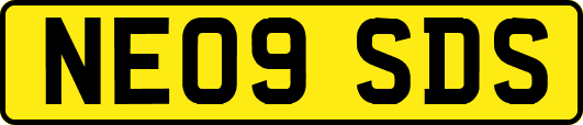 NE09SDS