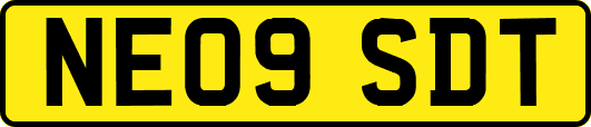NE09SDT