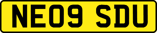 NE09SDU