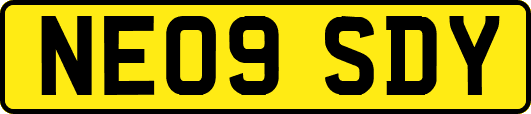 NE09SDY