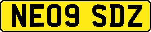 NE09SDZ