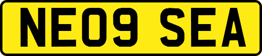 NE09SEA