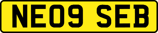 NE09SEB