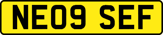 NE09SEF