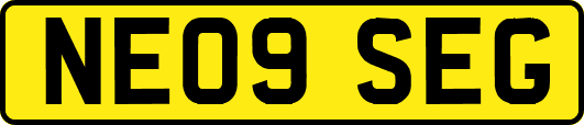 NE09SEG