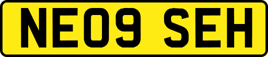 NE09SEH