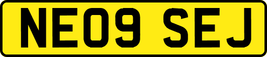 NE09SEJ