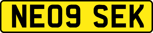 NE09SEK