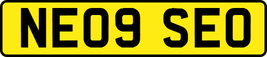NE09SEO