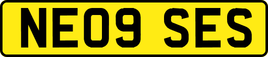 NE09SES