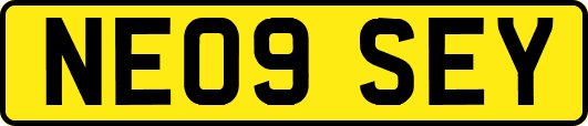NE09SEY
