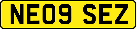 NE09SEZ