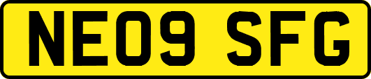 NE09SFG