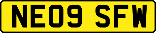 NE09SFW