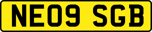 NE09SGB