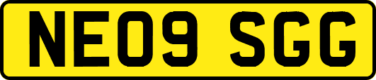 NE09SGG