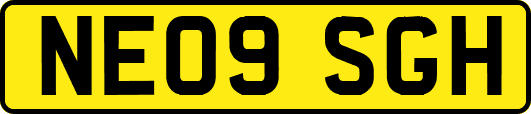 NE09SGH