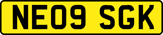 NE09SGK