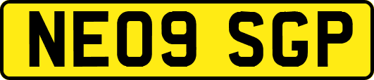 NE09SGP