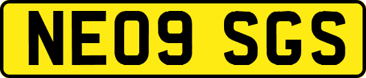 NE09SGS