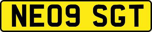 NE09SGT