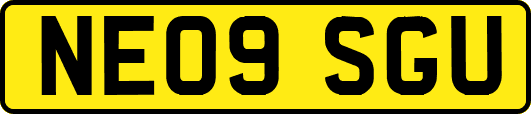 NE09SGU