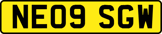 NE09SGW