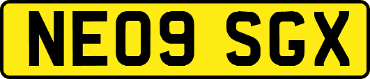 NE09SGX