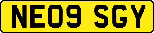 NE09SGY