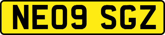 NE09SGZ