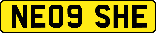 NE09SHE