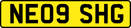 NE09SHG