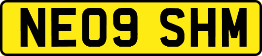 NE09SHM