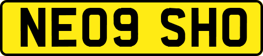 NE09SHO