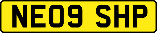 NE09SHP
