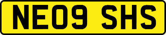 NE09SHS