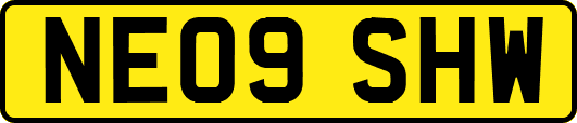 NE09SHW