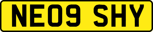 NE09SHY