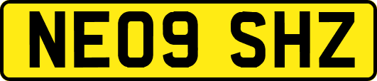 NE09SHZ