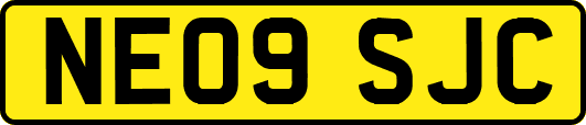 NE09SJC